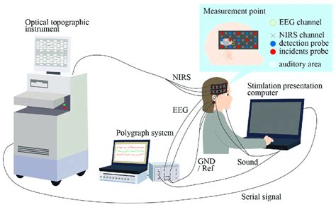 ERP and near-infrared spectroscopy (NIRS) measurement system. EEG was ...