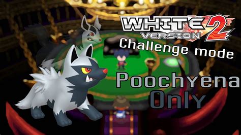 Can I beat Pokemon White 2 with only Poochyena? (Challenge Mode - Solo ...