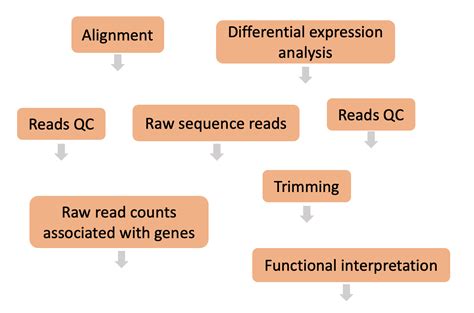 RNA-Seq using Nextflow: Day 1 – the_pipeline