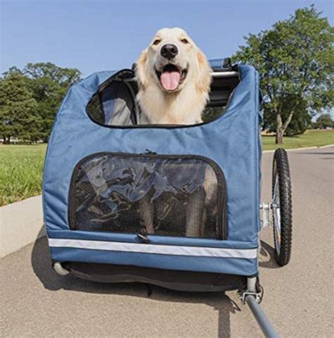 The 10 Best Dog Bike Trailers and Carriers for Riding With Your Pup