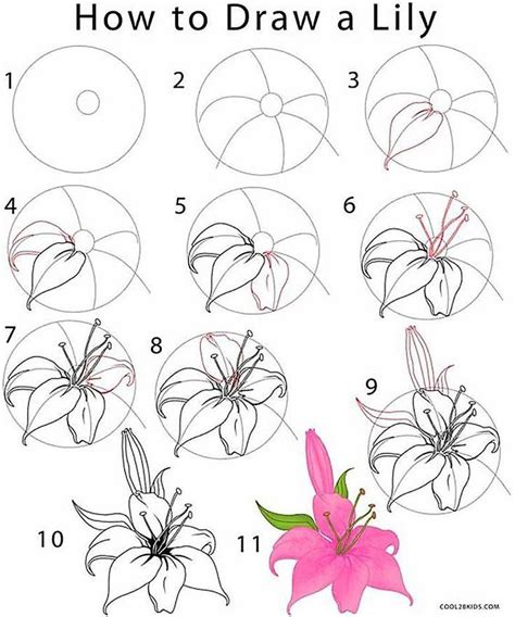 How to Draw Flowers | Flower drawing tutorials, Flower drawing, Flower ...