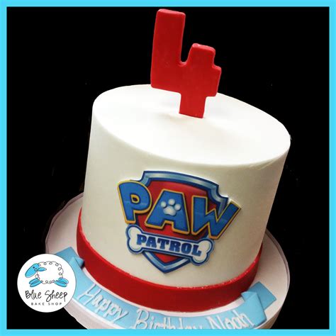 Noah's Paw Patrol Smash Cake – Blue Sheep Bake Shop