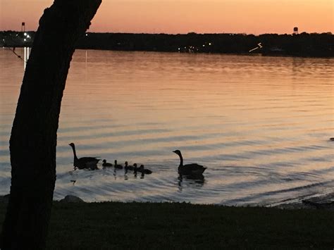 Granbury Lake, Granbury, TX : r/texas