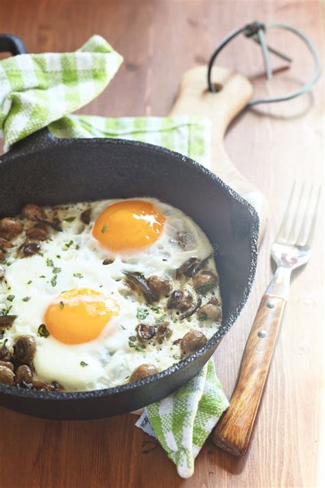 Fried eggs with mushrooms stock photo. Image of full - 42554212