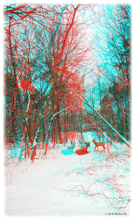 Wooded Path - Use Red and Cyan filtered 3D glasses Painting by Brian ...