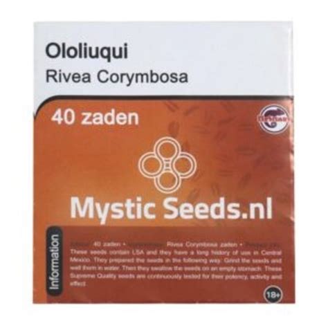 Rivea Corymbosa - Ololiuqui - 40 seeds - Novus Fumus