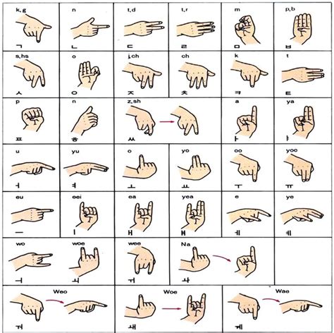 Korean Sign Language | Korean language learning, Sign language alphabet, Sign language