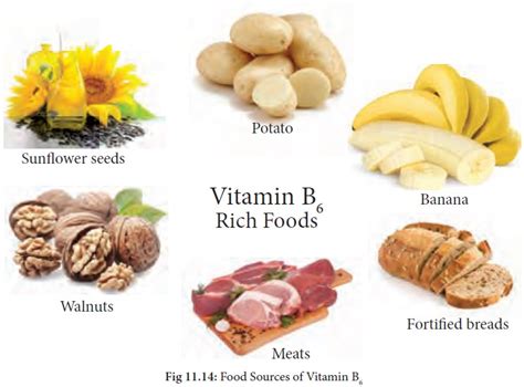 Vitamin B6 (Pyridoxine) : Functions, Food Sources, Symptoms of deficiency