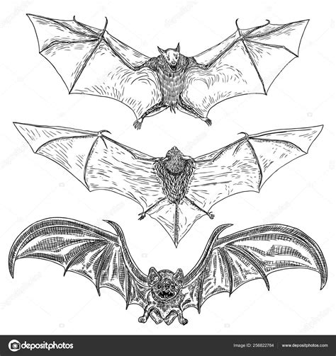 Set of bats with open wings drawing. Gothic illustration of mons Stock Vector by ©goldenshrimp ...