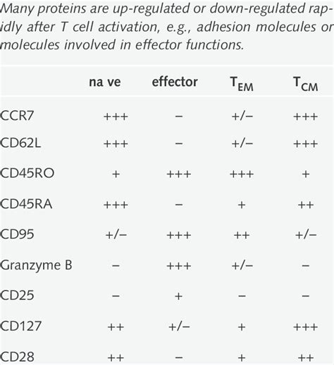 phenotypic markerS aSSociated with naïve, eFFector or memory t cellS ...