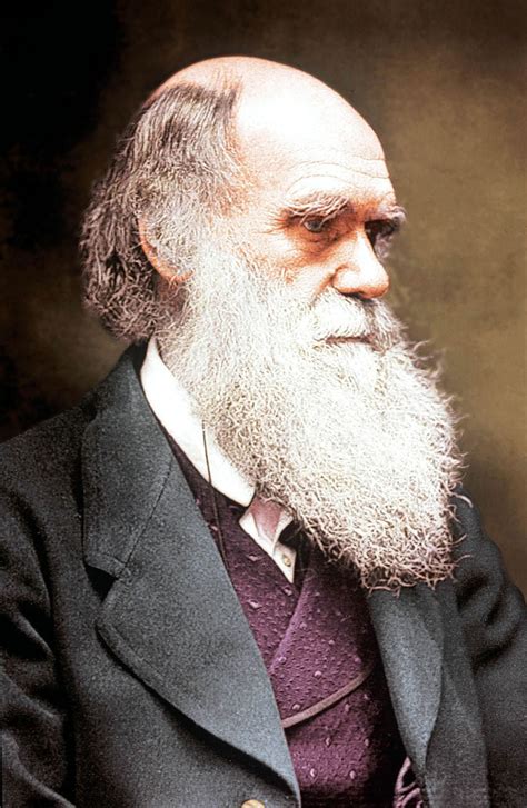 Charles Darwin: The Shropshire man whose ideas changed the world ...