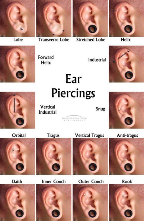 Everything You Need to Know About Piercings | Ear piercing names ...