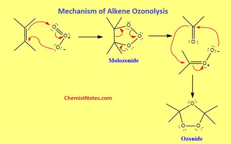 Ozonolysis of alkenes and alkynes: Mechanism, examples - Chemistry Notes