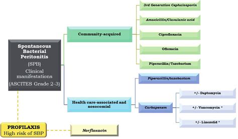 Diagnostic algorithm of SBP. The diagnosis of SBP is established based... | Download Scientific ...