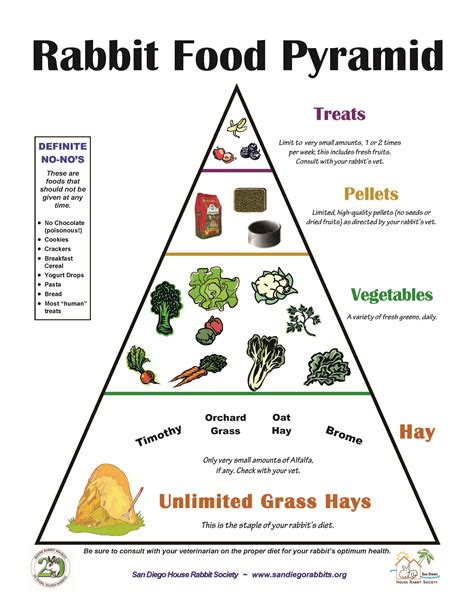 ¿Por qué es importante agregar heno a la dieta de un conejo?