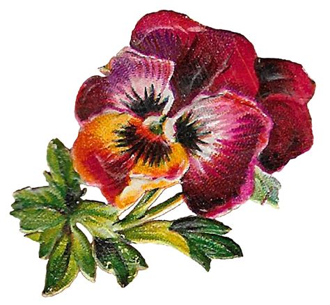 The Graphics Monarch: Free Floral Craft Clip Art Digital Pansy Flower Wildflower Image