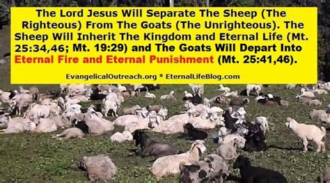 Matthew 25:31-46 Sheep and Goats