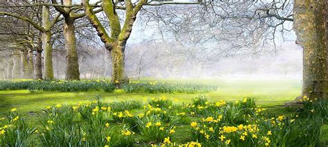 Beautiful Natural Scenery Poster Background | Background images, Spring landscape, New ...