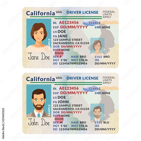 Vector template of sample driver license plastic card for USA ...