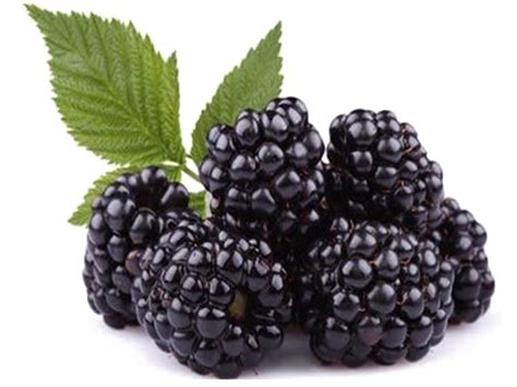 Blackberry Fruit PNG Images Transparent Free Download