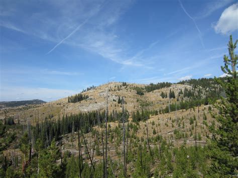 Wallowa-Whitman National Forest – Not Your Average Engineer