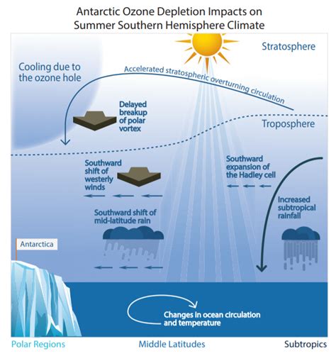 Ozone Hole Causes