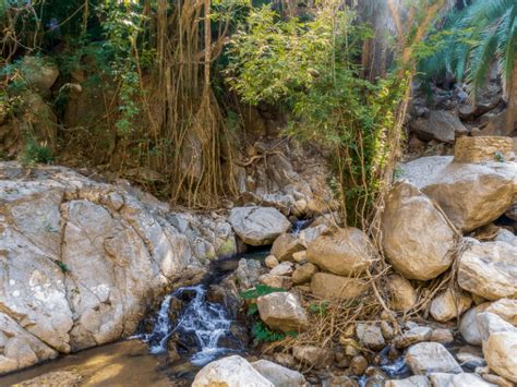 8 Waterfalls and Hot Springs to Visit Near Puerto Vallarta, Mexico