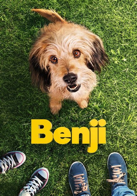 Benji streaming: where to watch movie online?