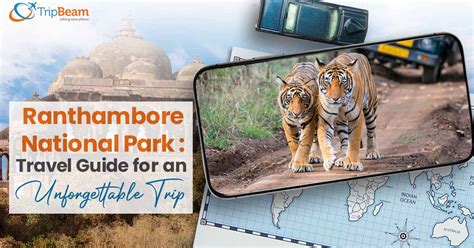 Ranthambore National Park: Travel Guide for an Unforgettable Trip