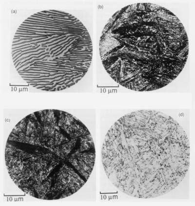 Bainite | Metallurgy for Dummies