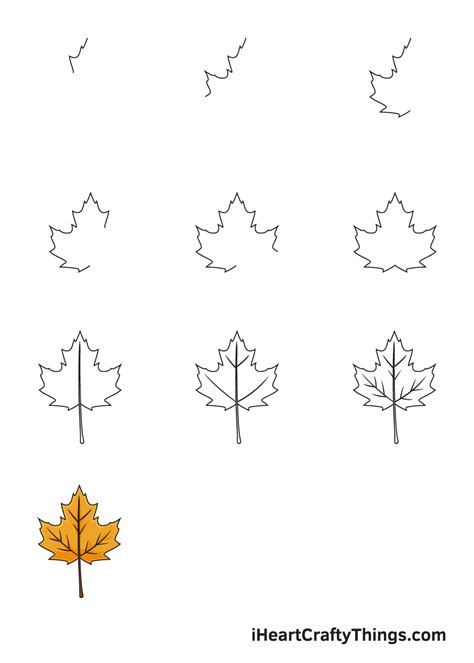 how to draw a leaf easy - Danuta Laws