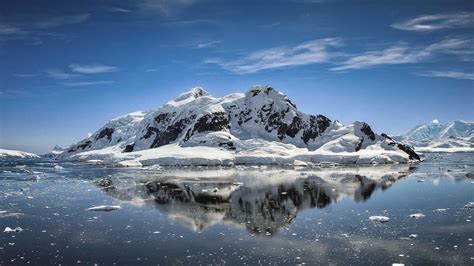 Elephant Island: A Haven in Antarcticas Icy Embrace