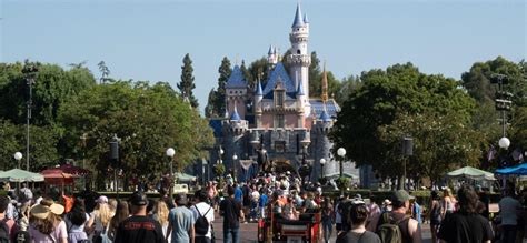 81-Year-Old Man Sues Disneyland Over Alleged Dog Attack