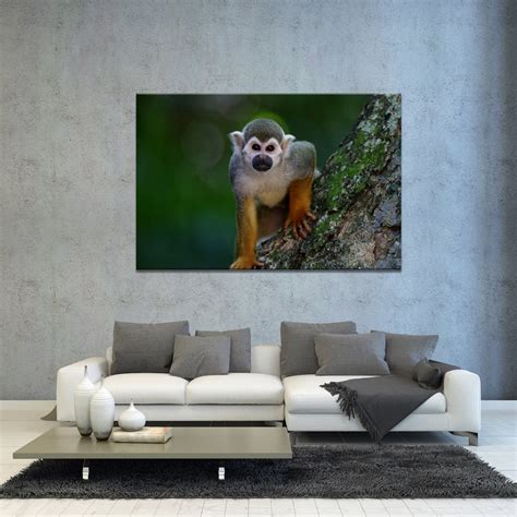 Monkey Canvas Wall Art Print Home Decor Printed Framed Hanging | Etsy