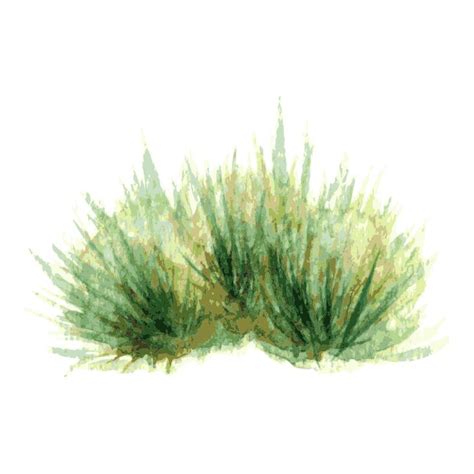 #freetoedit#ftestickers #watercolor #grass #groundcover #green #remixit | Grass photoshop, Tree ...