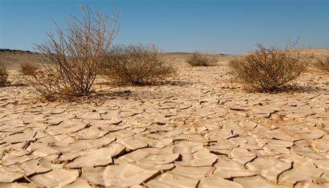 Iran becoming more vulnerable to desertification - Tehran Times