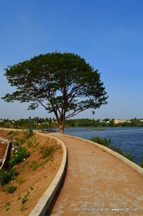 Chitlapakkam Lake, near Tambaram Chennai - eNidhi India Travel Blog