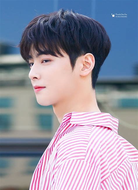 Every single nickname that fans call Cha Eunwoo and the meaning behind ...