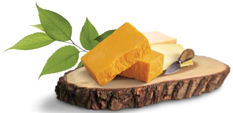 Cheese PNG Images Transparent Free Download | PNGMart.com