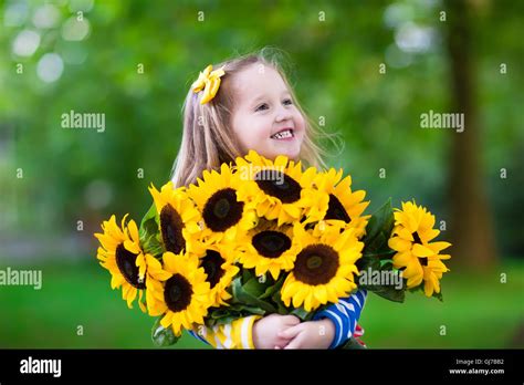 Happy laughing little girl holding sunflower bouquet. Child playing with sunflowers. Kids ...