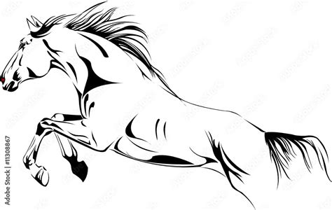 jumping horse vector illustration Stock Vector | Adobe Stock