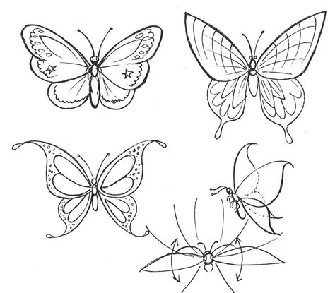 How To Draw A Butterfly | Butterfly drawing, Wings drawing, Flower drawing