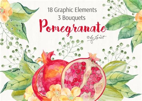 Pomegranate Watercolor Graphic by helloPAPER · Creative Fabrica