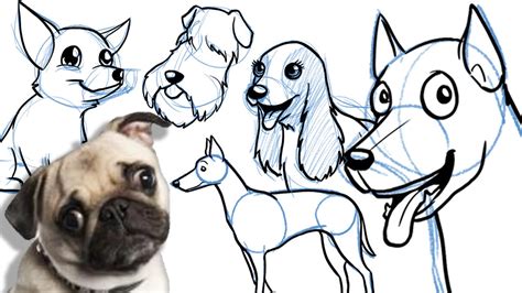How to Draw a Cartoon Dog - All breeds, and on different angles! - YouTube