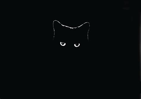 Black Cat 4k Wallpapers - Top Free Black Cat 4k Backgrounds ...