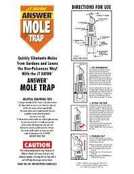 A Step-by-Step Guide to Setting a Mole Trap