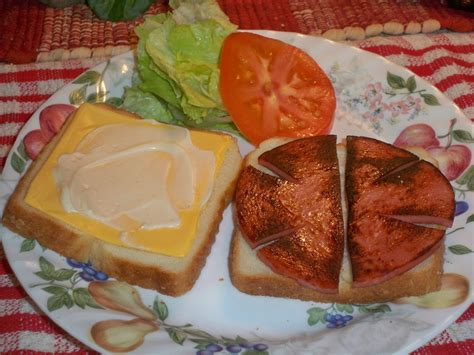 Gramma's in the kitchen: Fried Bologna Sandwiches ....that's good eaten'!