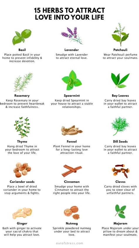 15 best herbs for love spells and magic recipes diy – Artofit