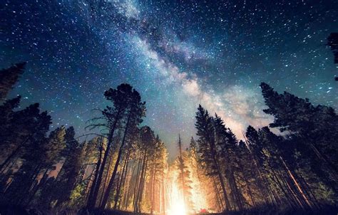 Galaxy Forest Wallpapers - Top Free Galaxy Forest Backgrounds ...