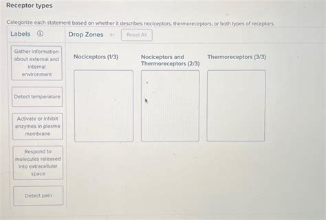 Solved Receptor types Categorize each statement based on | Chegg.com